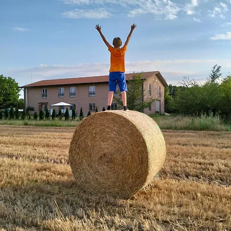 Campi Di Grano * Roncade