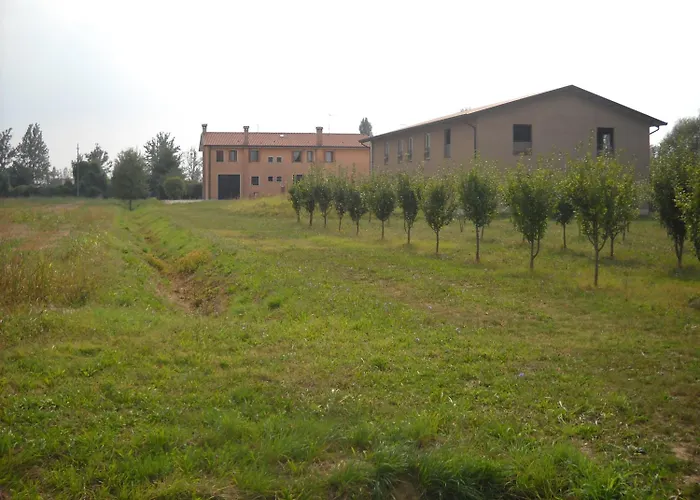 Campi Di Grano *