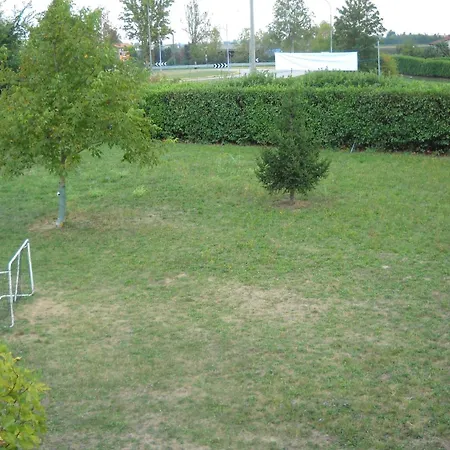 Campi Di Grano *