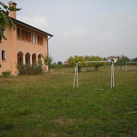 Campi Di Grano *
