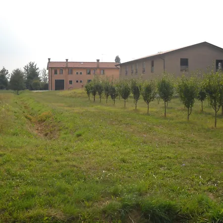 Campi Di Grano *