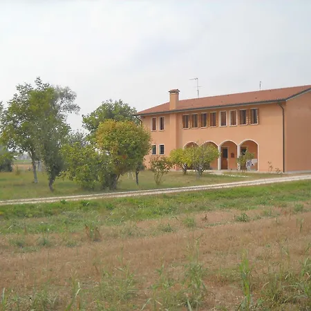 Campi Di Grano Roncade