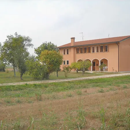 Campi Di Grano Roncade