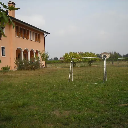 Campi Di Grano
