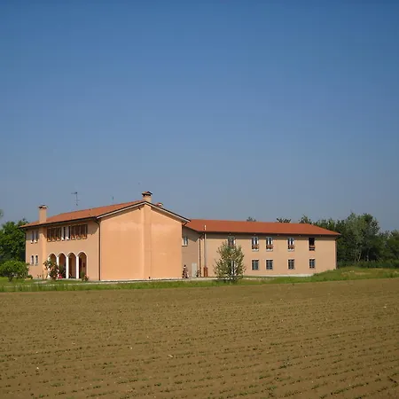Campi Di Grano
